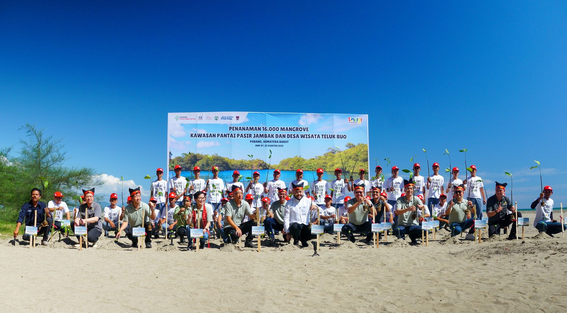 Yayasan AHM Tanam 16 Ribu Mangrove dan Lepas Tukik di Sumatera Barat